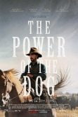 The Power of the Dog film poster